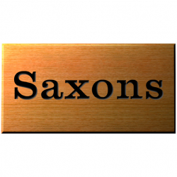 9 x 3½ Inch Polished Wood House Name Plaque